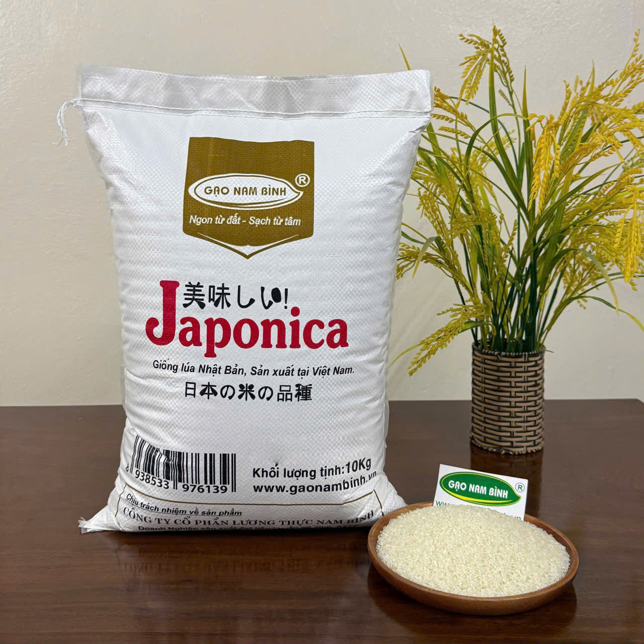 Sofa phòng khách SF08