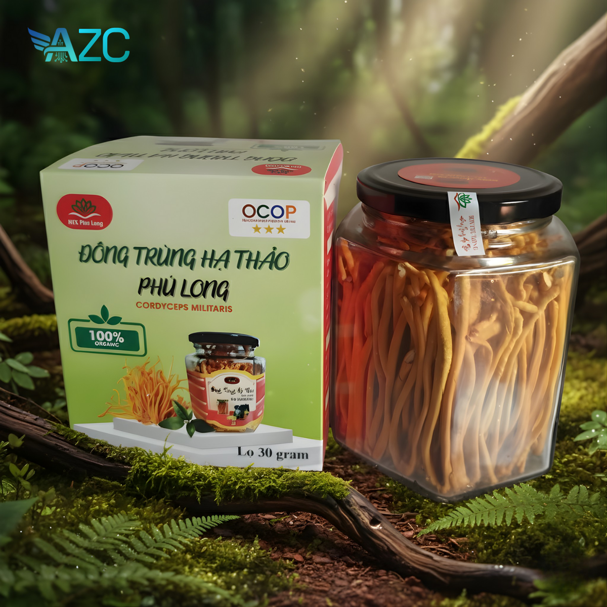 Sofa phòng khách SF08